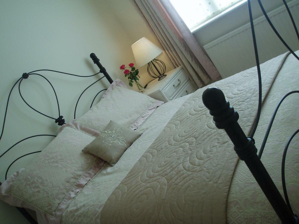 Copper Beech Rooms New Quay Buitenkant foto